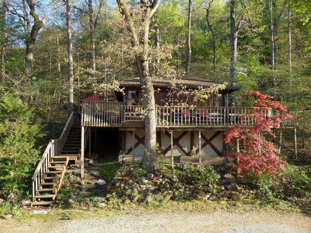 Lake Lucerne Treehouse Villa Юрека Спрингс Екстериор снимка